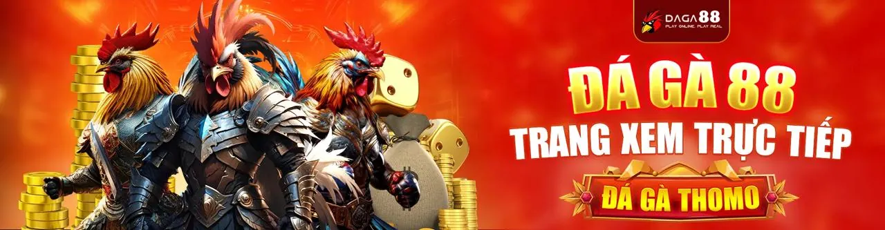 Sân đấu đá gà trực tuyến sôi động tại 789win01