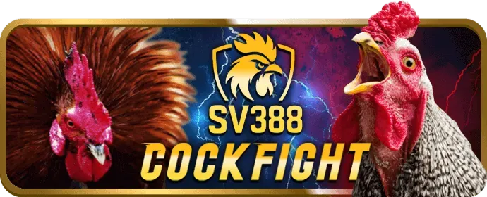 Kênh mạng xã hội của 789win01